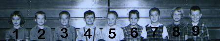 Top Row Miss McGowan's first Grade Class: November 1954
